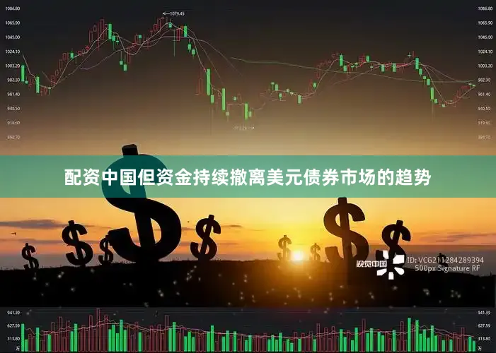 配资中国但资金持续撤离美元债券市场的趋势