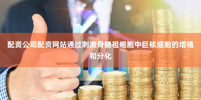 配资公司配资网站通过刺激骨髓祖细胞中巨核细胞的增殖和分化