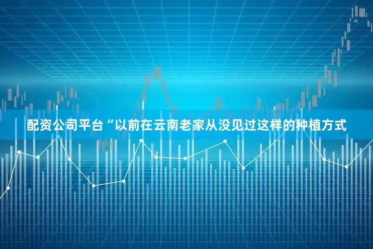 配资公司平台“以前在云南老家从没见过这样的种植方式