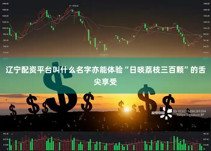 辽宁配资平台叫什么名字亦能体验“日啖荔枝三百颗”的舌尖享受