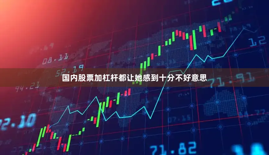 国内股票加杠杆都让她感到十分不好意思